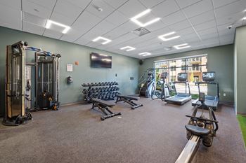 free weights and other exercise machines